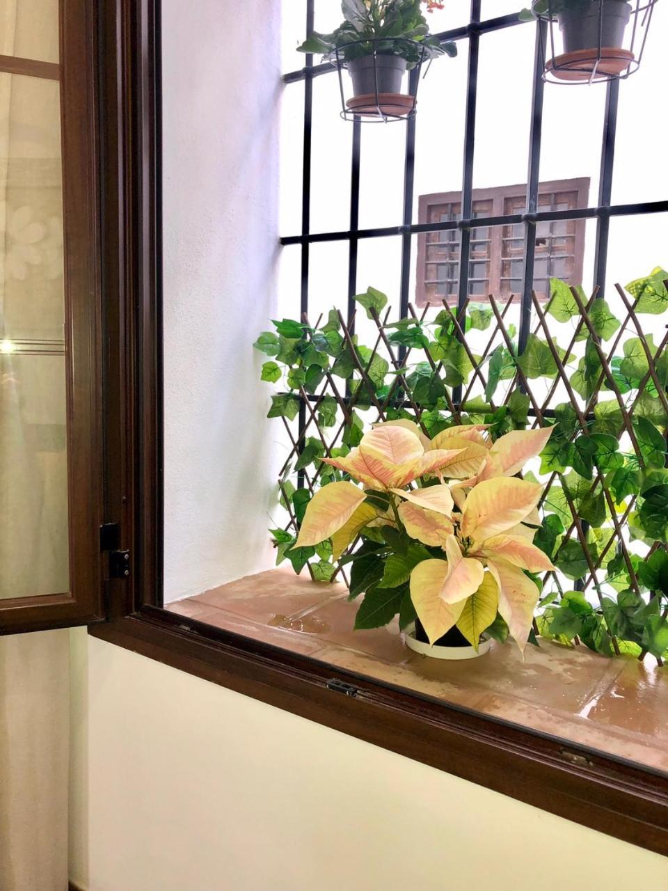 Apartamento El Museo 에치야 외부 사진