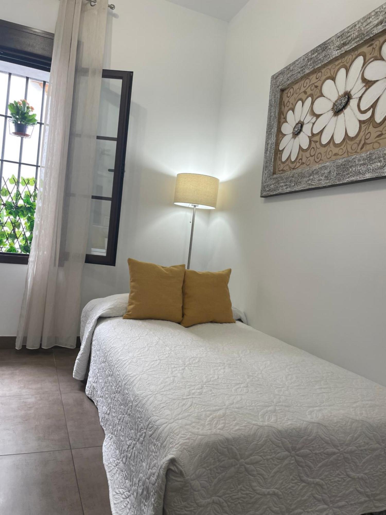Apartamento El Museo 에치야 외부 사진